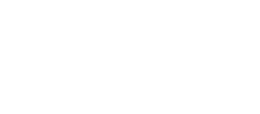 VO6